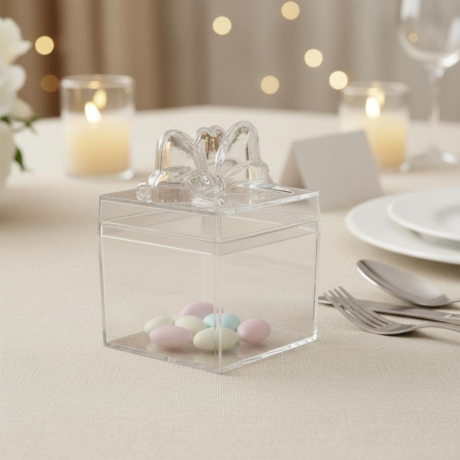 Food Storage Plastic Boxes - Caja de Plástico Transparente para Dulces