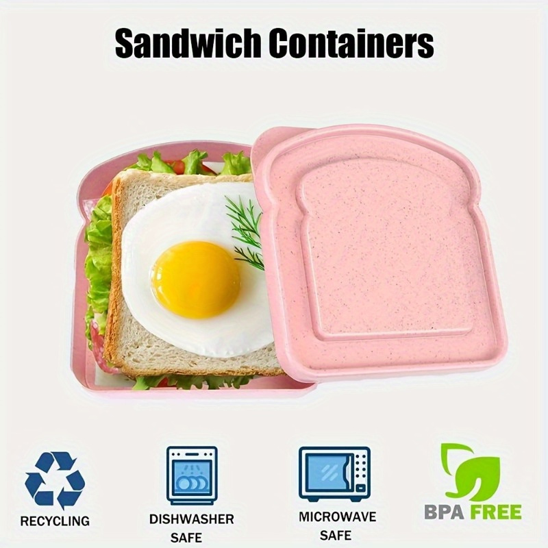 Cajas Bento de 1 ud., contened - Food Storage Plastic Boxes reseña y precio