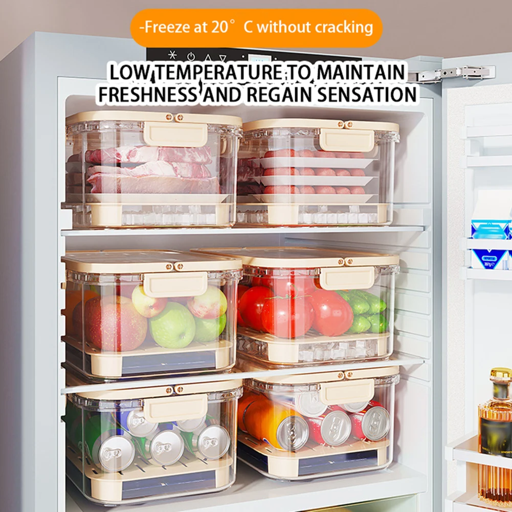 Contenedor portátil de almacen - Food Storage Plastic Boxes reseña y precio