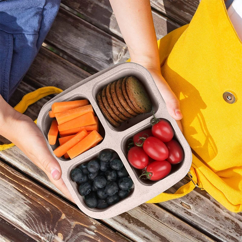 Caja de almacenamiento de alim - Food Storage Plastic Boxes reseña y precio
